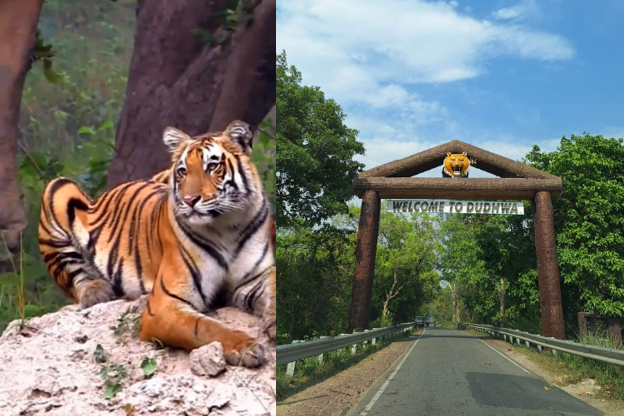 Nabarun Travels