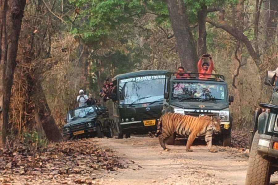 Nabarun Travels